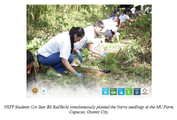 Misamis University NSTP Grows 500 Narra Seedlings